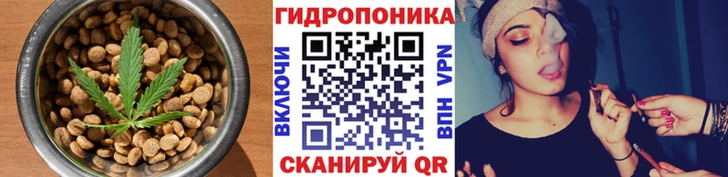 Еда ТГК марихуана  Купить закладки  Аркадак 