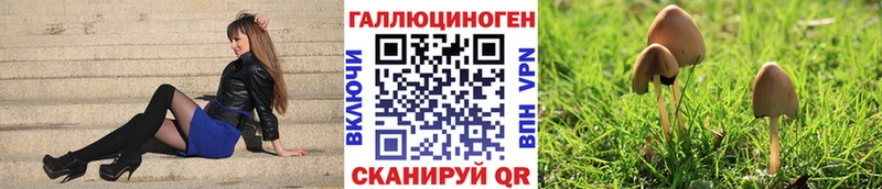 Купить где  Аркадак  Псилоцибиновые грибы мухоморы 